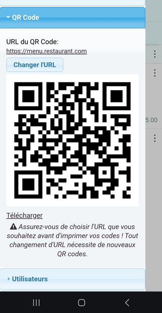 Vous pouvez également configurer un domaine ou un sous-domaine personnalisé dont vous êtes propriétaire (moyennant des frais supplémentaires)
