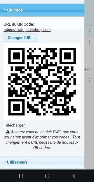 Vous pouvez configurer un sous-domaine Dishtup personnalisé tel que demo.dishtup.com pour accéder à votre menu numérique